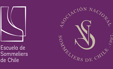 Alianza beneficio MUV Escuela De Sommeliers De Chile