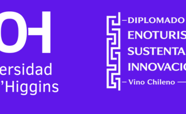 MUV BENEFICIO DIPLOMADO DE VINO UNIVERSIDAD OHIGGINS