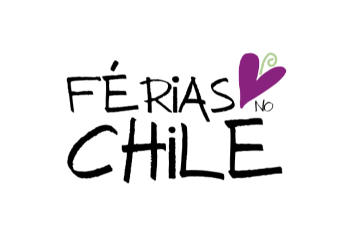 Elige MUV Ferias No Chile Elisabete Veingartner